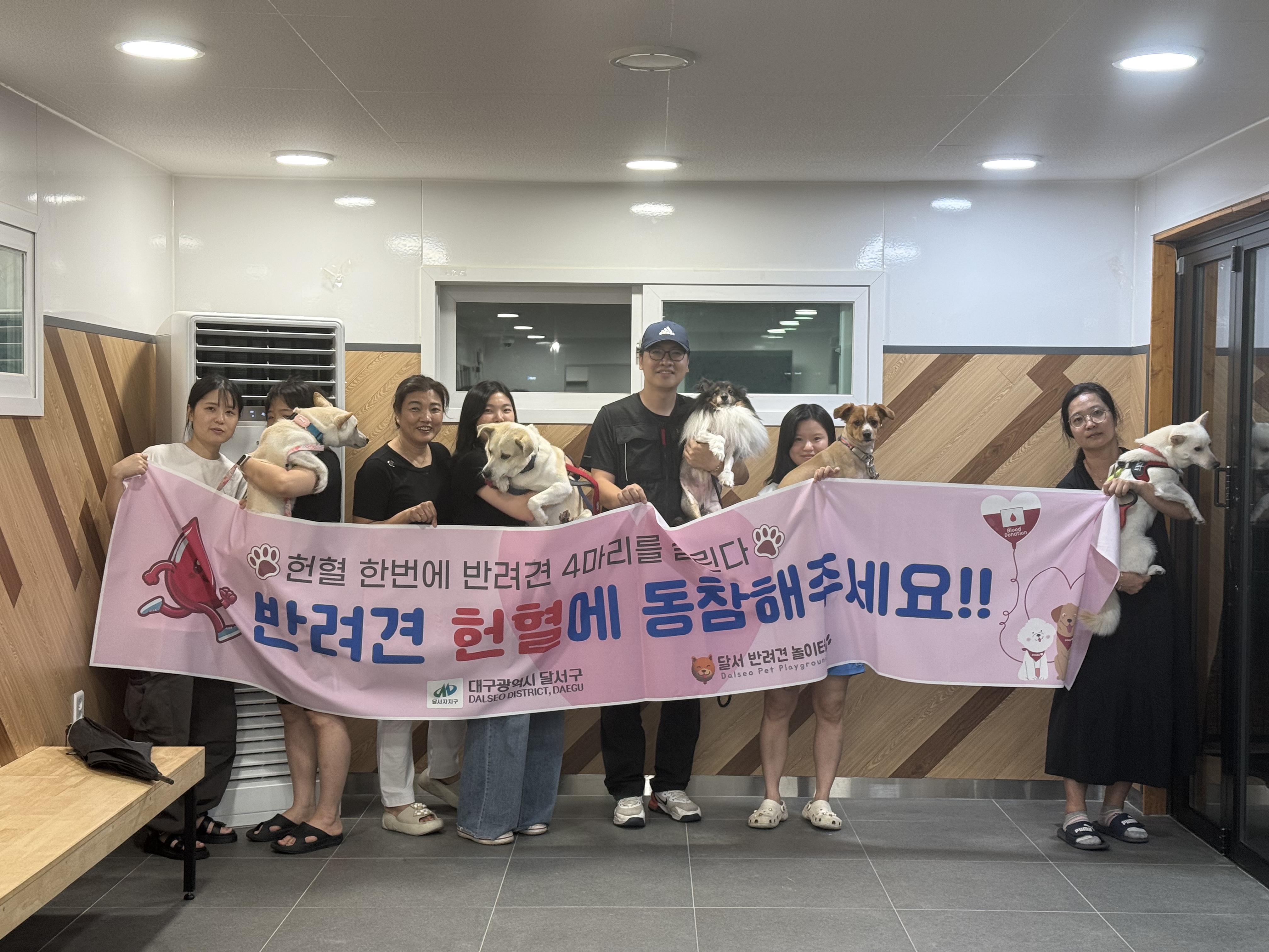 

안녕하세요

달서 반려견 놀이터 입니다.















6월 14일 헌혈의 날을 맞아,

달서 반려견 놀이터에서

특별한 반려견 헌혈 캠페인을 진행했습니다!







이번 캠페인은 반려견 헌혈의 중요성을 알리고,
더 많은 보호자 분들이 반려견 헌혈에

관심을 가질 수 있도록 진행된 캠페인이였는데요.






현장에서는 다음과 같은 활동이 진행되었습니다:



📌 반려견 헌혈 홍보물 배포


📌 반려견 헌혈 홍보 풍선 나눔


📌 홍보 풍선을 달고 사진 찍기📸





















귀여운 반려견들과 많은 보호자분들이 함께 참여해 주신 덕분에,

즐거운 분위기 속에서 의미 있는 시간을 보낼 수 있었습니다.




풍선을 단 반려견들의 모습은 유난히 사랑스러웠고,

사진을 찍는 보호자들의 얼굴에도 미소가 가득했답니다 😊







반려견 헌혈은 응급상황에 처한

다른 반려동물의 생명을 살릴 수 있는 소중한 나눔입니다.






앞으로도 달서 반려견 놀이터는

반려동물과 사람이 함께 행복한 문화를 만들어가기 위해

다양한 캠페인 및 프로그램을 진행할 예정이니,

많은 관심과 참여 부탁드립니다!







프로그램과 놀이터 이용에문의사항이 있으시면

아래의 번호 OR 공식 인스타그램 DM으로

연락주십시오.



053-716-1314

[달.반.놀 공식 인스타그램]



감사합니다.
