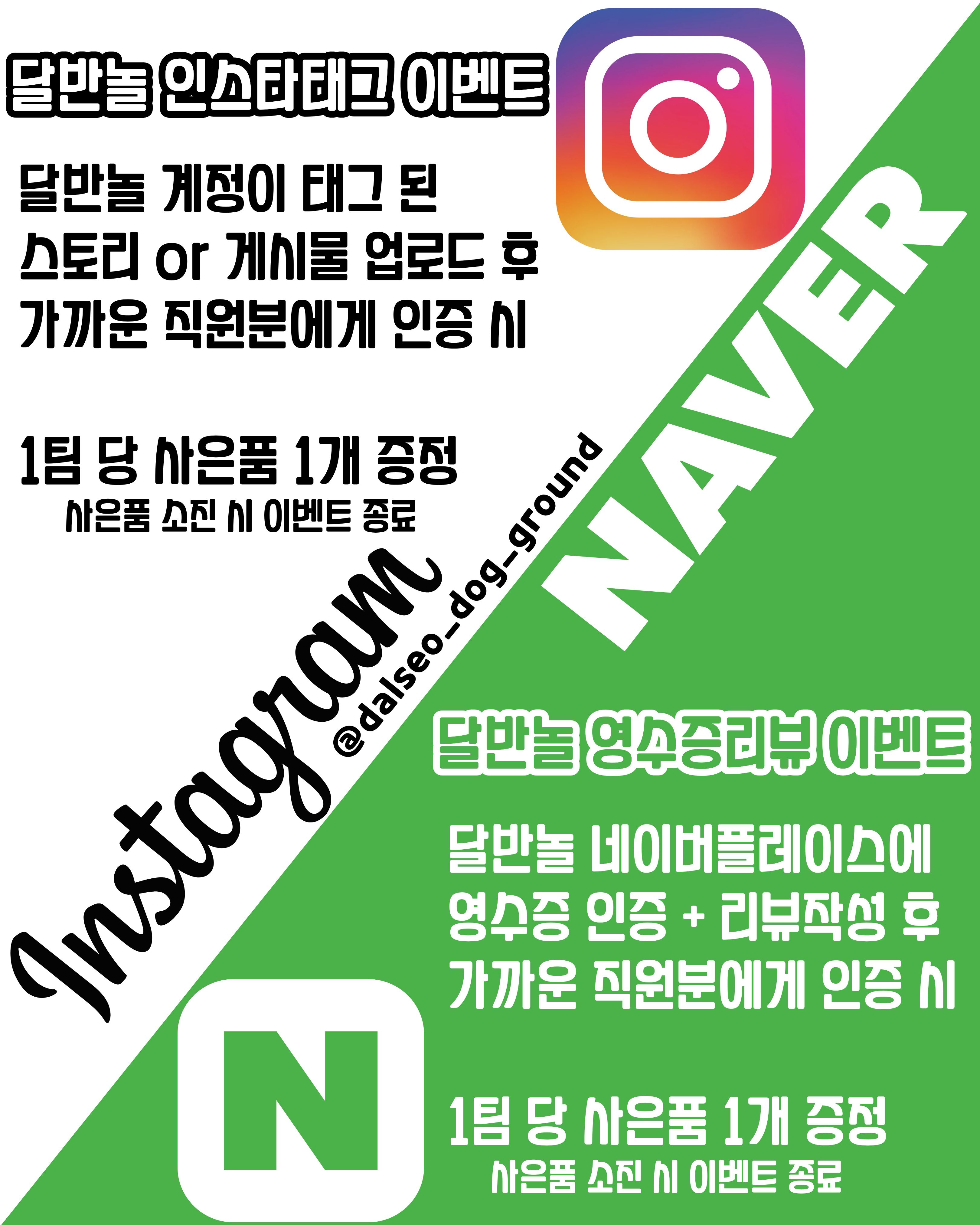 달서구 반려동물 안내 팝업