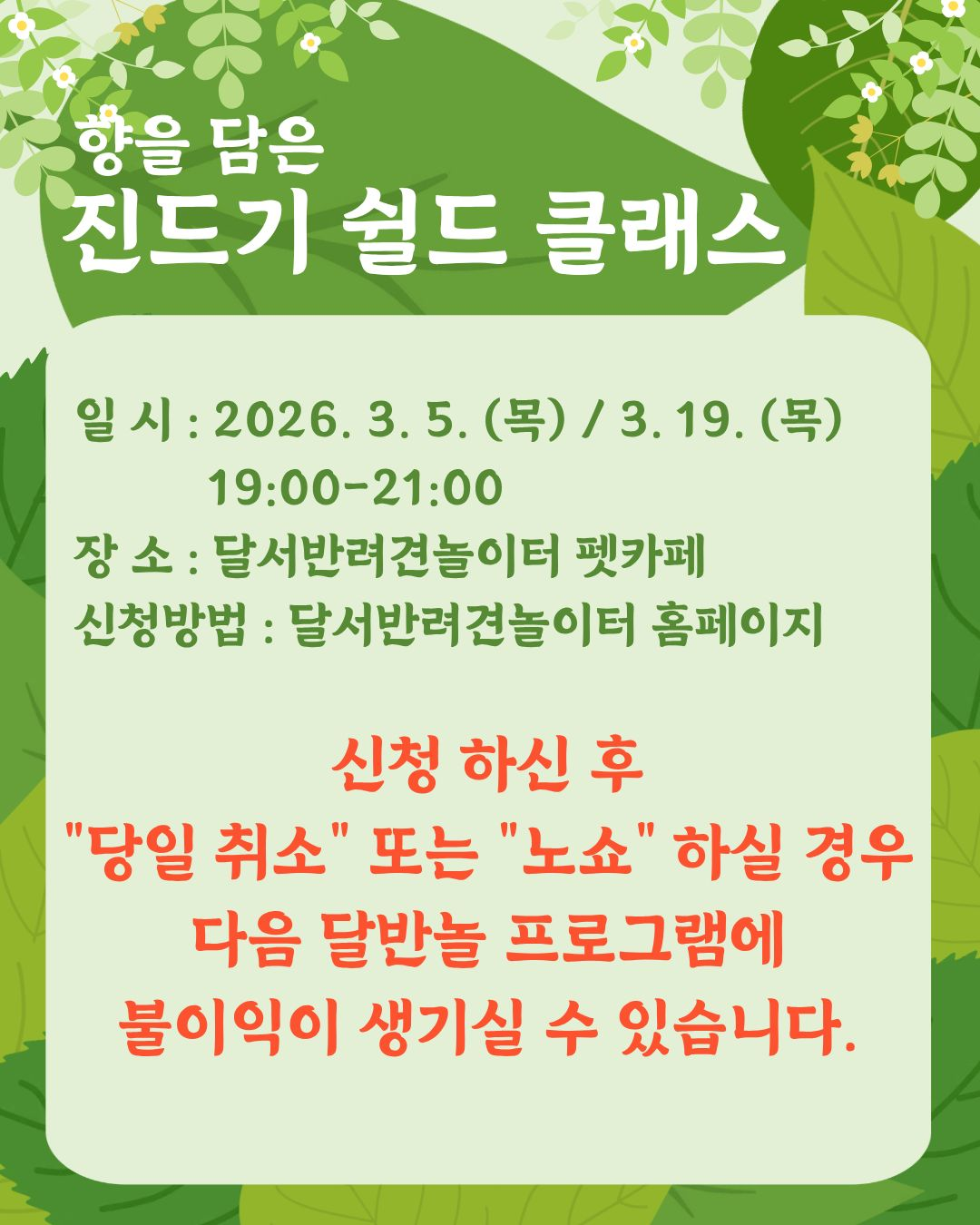 달서구 반려동물 안내 팝업